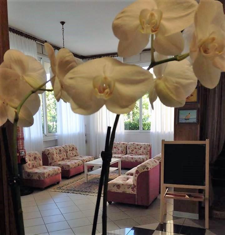 Hotel Primula Lido Di Savio Buitenkant foto